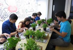 DIY Thirsty Plant Workshop: Help Your Plants Tell You When To Water Them image