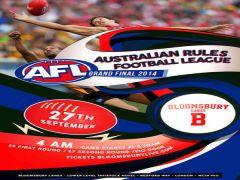 2014 AFL Grand Final image
