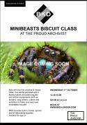 BKD Minibeasts Biscuit Class image