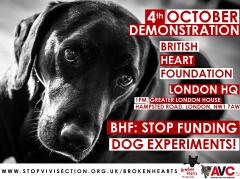 Demonstration at British Heart Foundation against their funding of animal experiments image