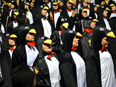 Penguin Waddle image