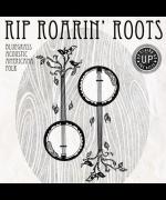 Rip Roarin' Roots Ft. Paddy Kiernan and Friends image