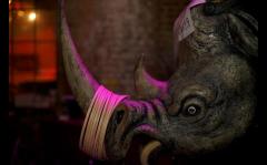 Save the Rhino's 21st Birthday Celebration - late-night party image