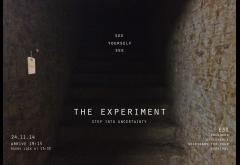 The Experiment image
