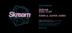 Skream + Soul Clap + Room 2: Harri & Jasper James image