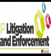 IP Litigation & Enforcement image