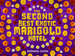 The Second Best Exotic Marigold Hotel - London Film Premiere image