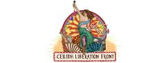 The Ceilidh Liberation Front @ VAULT Festival image