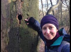 Winter Wildlife Walk – The Highams Park and Epping Forest image