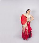 Latin & Flamenco Dance Cabaret image