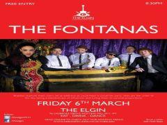 The Fontanas - Free Entry At The Elgin image