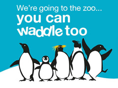 Penguin Waddle image