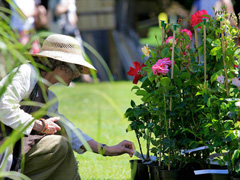 The Kew Plant Finders Fair image