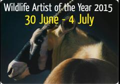 Wildlife Artist of the Year 2015 image
