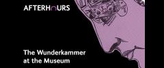 DNAYS Presents: The Wunderkammer at the Museum image
