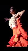 Flamenco Express with Elena la Machana image