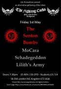 The Senton Bombs at an alternative gathering of the tribes image