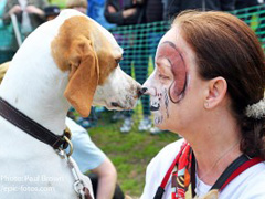 The Great Hampstead Bark Off 2015 image