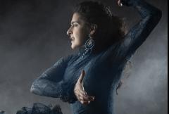 Tormenta Flamenca - Flamenco Blues image