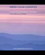 Mind Calm Meditation Workshops image