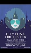 City Funk Orchestra image