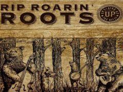 Rip Roarin Roots Ft The Corn Potato String Band (USA) image