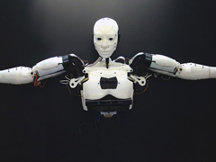 The InMoov Robots for Good Project image