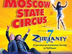 Moscow State Circus image