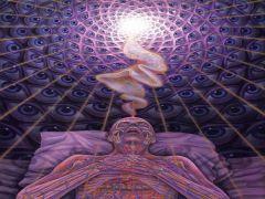 SciBar: The Trip Of A Lifetime - Death and DMT image