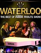 Waterloo - The Best of ABBA Tribute Show at Richmond Theatre image