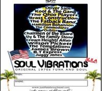 Soul Vibrations image