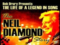 The Neil Diamond Story image