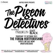 Hatfield Rocks presents The Pigeon Detectives image