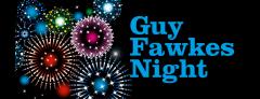 Guy Fawkes Night 2015 image
