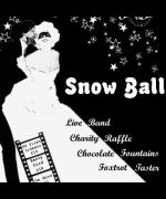 Snow Ball 2015 image