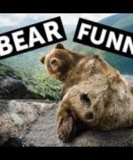 Bear Funny 101 - Improv Comedy Night Takeover image