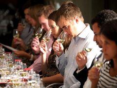 Wine Tasting for Beginners: What you need to know image