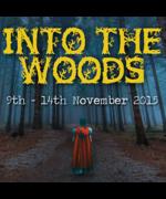 Into The Woods Presented by Finchley & Friern Barnet Operatic Society image
