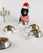Christmas Dinner Party Pop-up for Dogs! image