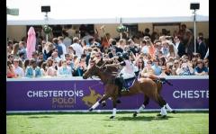 Chestertons Polo in the Park image