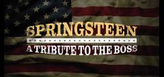 Springsteen - A Tribute To The Boss image