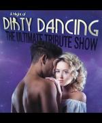 A Night of Dirty Dancing image