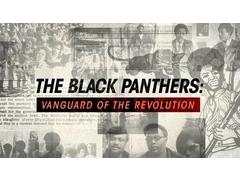 The Black Panthers: Vanguard of the Revolution image