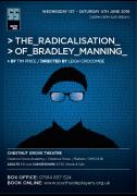 The Radicalisation of Bradley Manning by Tim Price image
