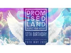 Promised Land 12th Birthday image