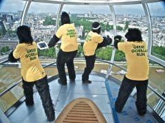 The Great Gorilla Run 2016: 8k charity fun run in London image