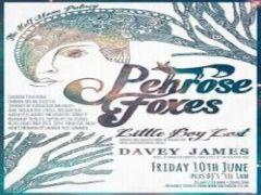 Penrose Foxes + Little Lost Boy + Davey James image