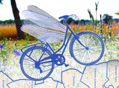 A Midsummer's Dream Cycle Ride image
