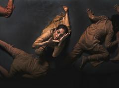 Aditi Mangaldas Dance Company image