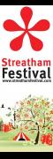 Streatham Festival 2016 image